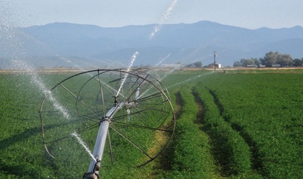 Pour l’amélioration des services d'irrigation au profit des agriculteurs marocains