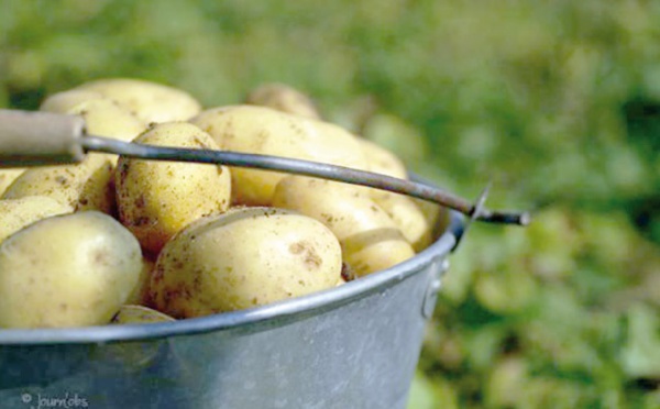Pour un investissement allant de pair dans les zones urbaines et rurales et dans la protection sociale