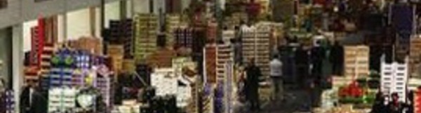 Rabat lorgne les modèles de fonctionnement des marchés de gros de Madrid