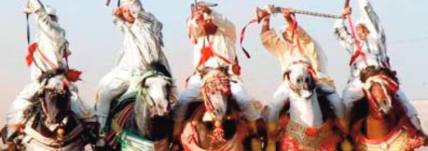 Rabat fin prête pour accueillir le 23è Trophée Hassan II «Tbourida»