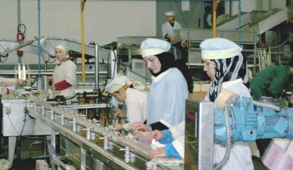 Produits de la mer : Unimer améliore son CA à 273 MDH au T1-2024