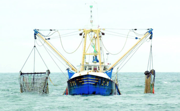 L'accord de pêche Maroc-UE, légal  et conforme avec le droit international