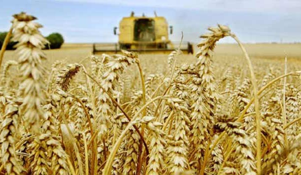 Entre Plan Maroc Vert et Génération Green. L’agriculteur voit rouge