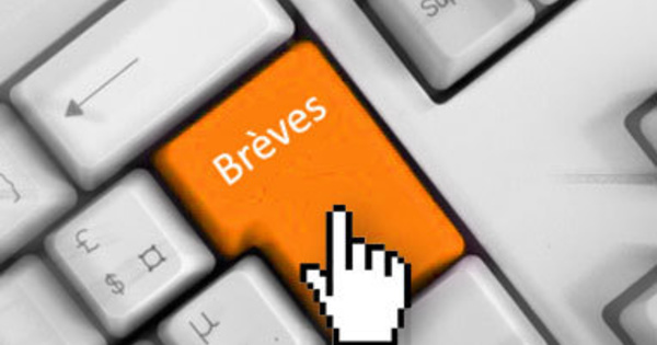 Brèves