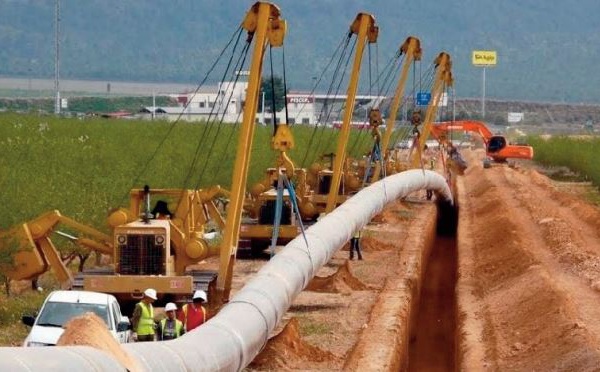Eléments constitutifs de la coopération stratégique et solidaire en Afrique