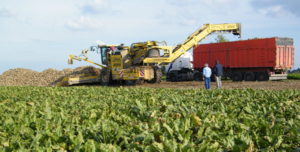 Campagne  agricole record  à Doukkala-Abda
