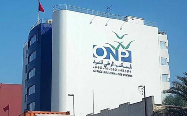 Port de Lamhiriz: Baisse de 9% des débarquements de la pêche à fin avril