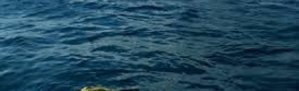 Quatre migrants meurent noyés en tentant de rejoindre Sebta à la nage