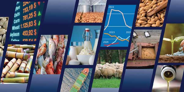 La FAO prévoit une stabilisation de la plupart des marchés des produits alimentaires en 2024-2025