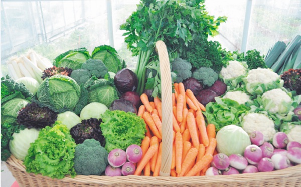 Le panier de la ménagère tombe dans la nasse du gouvernement Benkirane