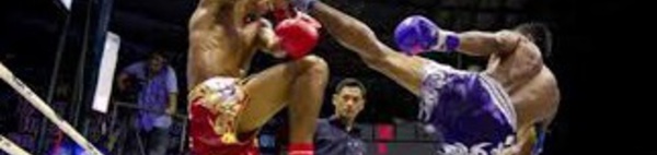 Trois médailles pour le Maroc à la Coupe du monde de muay-thai