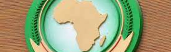 CPS de l'UA: Le Maroc déterminé à mettre son expérience en matière de démocratie et de gouvernance à la disposition des pays africains frères