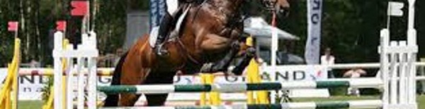 Le gotha du sport équestre se donne rendez-vous au  Morocco Royal Tour 2015