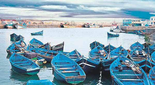 Port d’Essaouira : Hausse de 111% des débarquements de pêche à fin juillet