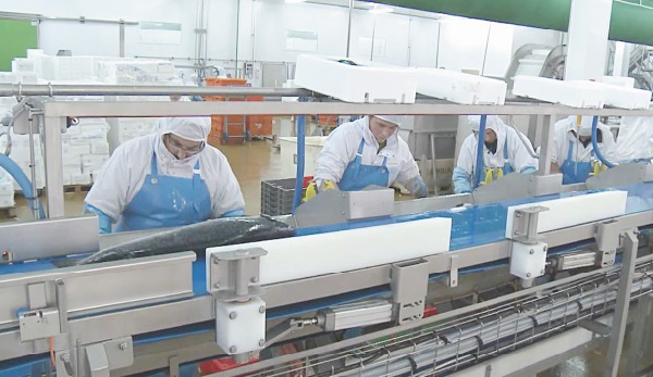 Tendance à la hausse pour l’industrie manufacturière