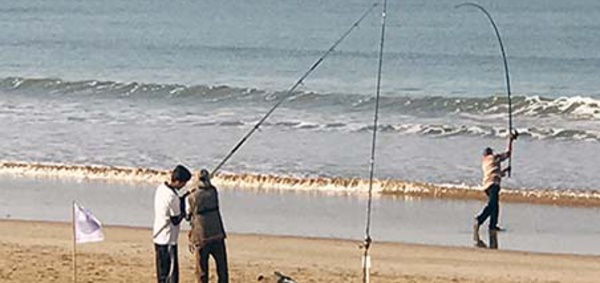 Coup d’envoi à Dakhla de la 1ère édition de la compétition nationale et internationale de pêche sportive