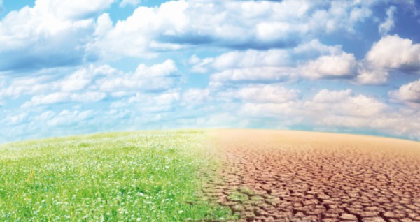 Les changements climatiques, un éventuel  danger pour les entreprises