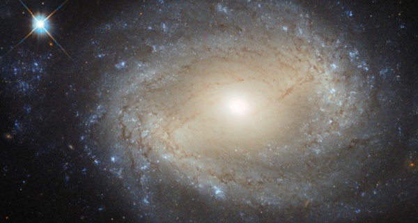 Une étoile mystérieuse agite la communauté des astronomes