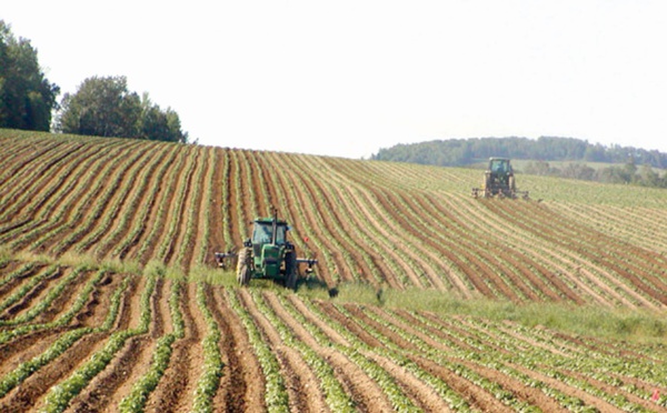 La création du Registre national agricole va bon train