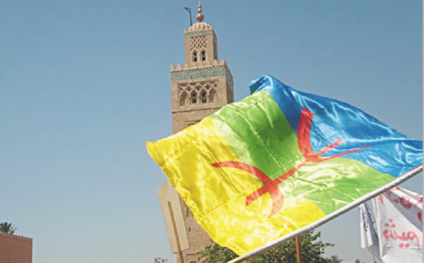 Plus de 700 ONG exigent la mise en œuvre du statut officiel de la langue amazighe