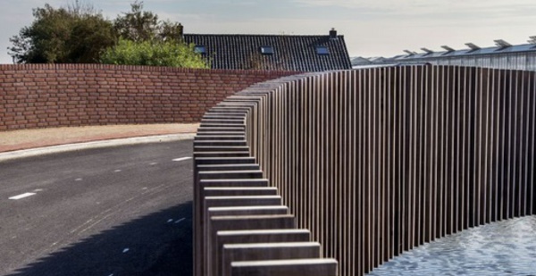Insolite : Le "batbridge", pont pour chauves-souris