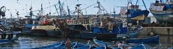 Port de Mehdia : Les débarquements de pêche en baisse de 19% à fin novembre 2024