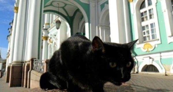 Au musée de l’Ermitage, des chats tiennent compagnie aux chefs-d’œuvre