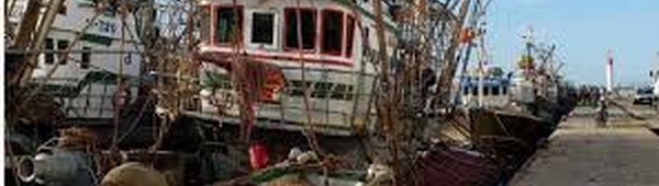 Port de Boujdour: Hausse de 5% des débarquements de pêche