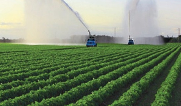 Campagne agricole 2024-2025 : Un démarrage prometteur pour un secteur en quête d'un nouveau souffle