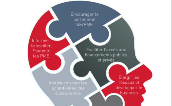 Faire émerger un écosystème plus favorable  à l’essor des entreprises et industries