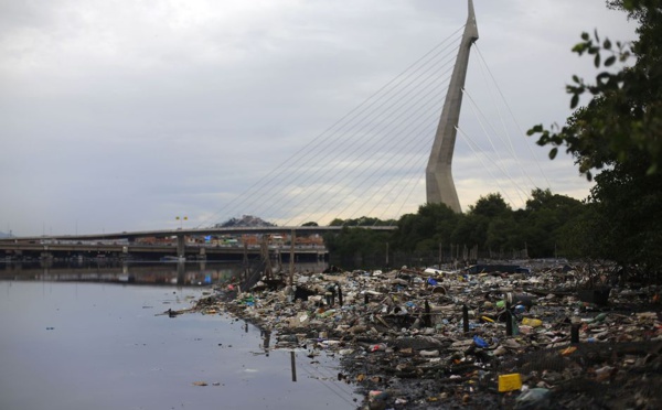 Sur une île polluée de Rio, un écologiste brésilien rêve de miracle