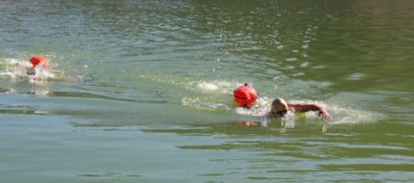 140 nageurs bravent les eaux froides du lac Aguelmam Azegza à Khénifra