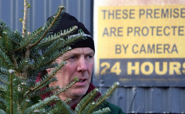 Insolite : Chasse aux voleurs de sapins