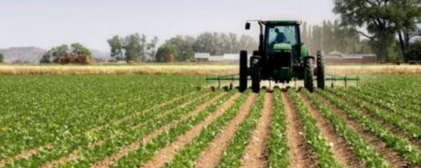 Développement agricole: L’expérience du Maroc mise en avant au Panama