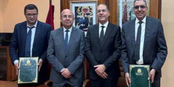 L'ANEF et Eucaforest s'associent pour renforcer l'innovation en matière de plantations forestières