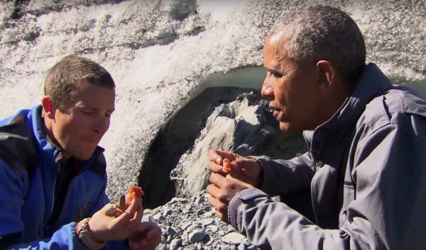 Insolite : Obama, le climat, l'Alaska et la vie sauvage
