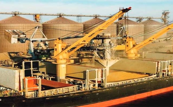 Forte progression des exportations russes de blé vers le Maroc
