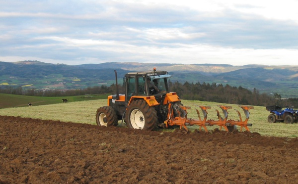 La croissance tirée par  l’activité agricole