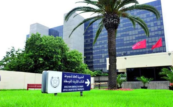 OCP Nutricrops : Un investissement stratégique pour accroître la capacité de production d'engrais de 9 MT d'ici 2028