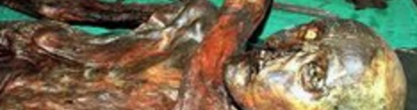 Les bactéries de l'estomac d'Otzi permettent de retracer les migrations en Europe