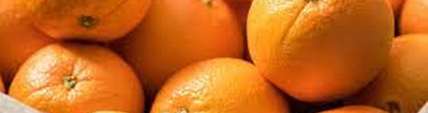 Les agrumes marocains font leur entrée sur le marché japonais