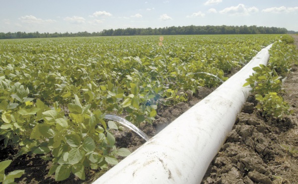 L’urbanisation galopante menace les ressources en eau et en terres agricoles