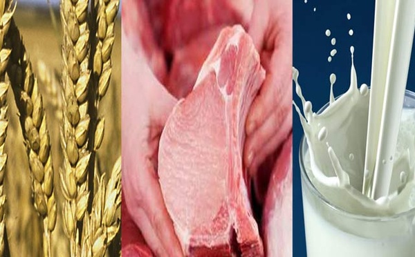 Hausse  des cours des céréales, de la viande et des produits laitiers à l’échelle mondiale