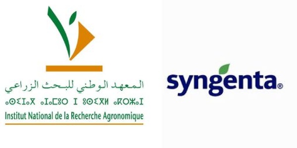 Productivité agricole : L’INRA et Syngenta présentent les résultats des essais menés dans le cadre de leur partenariat 2021-2024