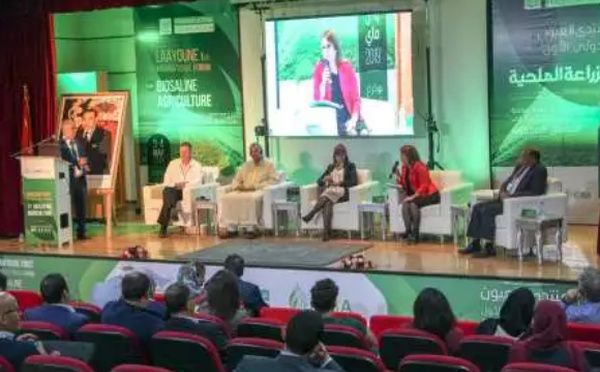 3ème Forum international de Laâyoune sur l'agriculture biosaline
