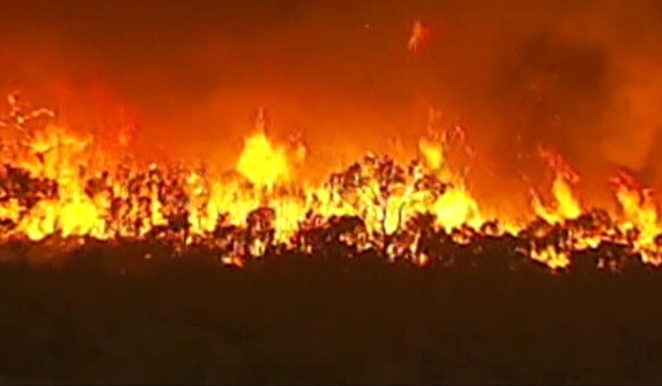 Feux de forêt en Australie