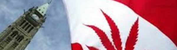 La légalisation du cannabis rapporterait des milliards au Canada