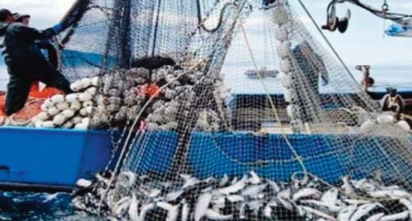 Port de Nador : Baisse de 13% des quantités débarquées des produits de la pêche à fin avril