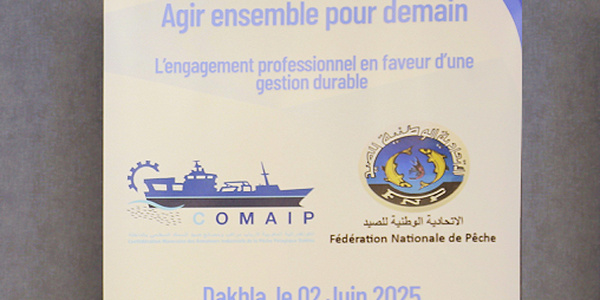 Les professionnels marocains et mauritaniens de la pêche s’engagent pour une gestion durable des stocks partagés de petits pélagiques