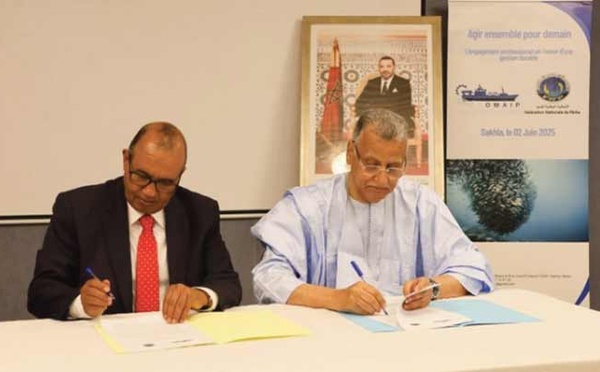 Maroc-Mauritanie : La COMAIP et la FNP consolident leur partenariat pour une pêche durable et concertée